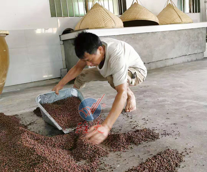 8.20-用蒸酒設(shè)備做酒的老酒坊發(fā)展遇瓶頸，雅大國(guó)家釀酒師來破局！7