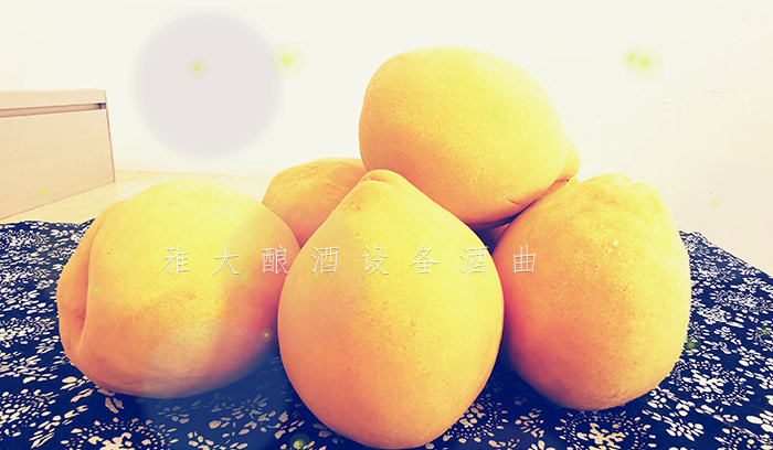 8.24-印江縣黃桃滯銷，冉總引進(jìn)雅大電加熱釀酒設(shè)備靠&ldquo;釀&rdquo;帶動(dòng)銷量-9