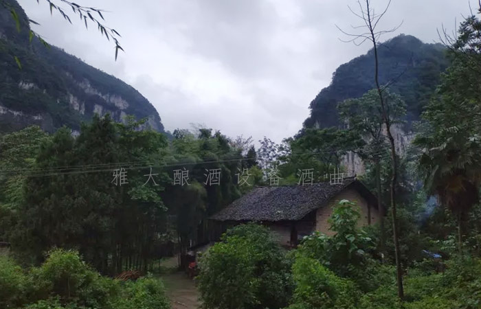 8.25-兵哥哥用雅大制酒設(shè)備釀出湄江招牌旅游產(chǎn)品，月凈賺3萬1