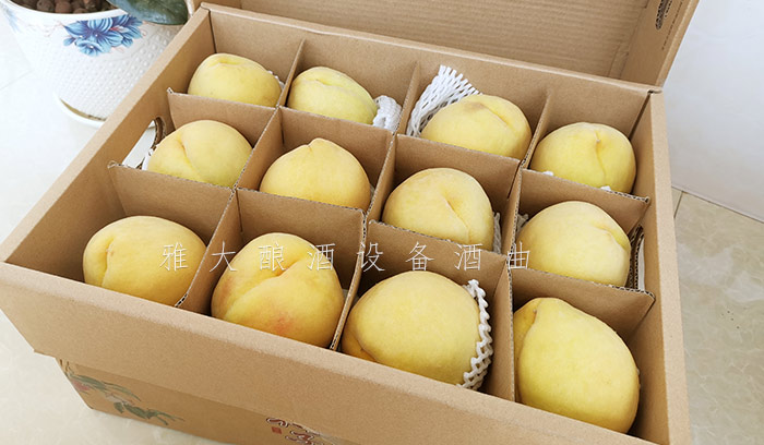 8.24-印江縣黃桃滯銷，冉總引進(jìn)雅大電加熱釀酒設(shè)備靠&ldquo;釀&rdquo;帶動銷量-11