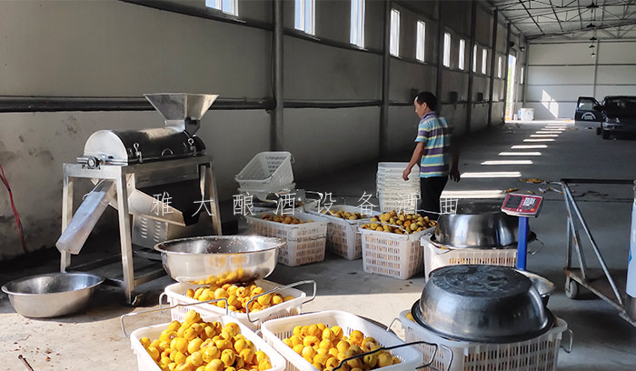 8.24-印江縣黃桃滯銷，冉總引進(jìn)雅大電加熱釀酒設(shè)備靠&ldquo;釀&rdquo;帶動銷量-4