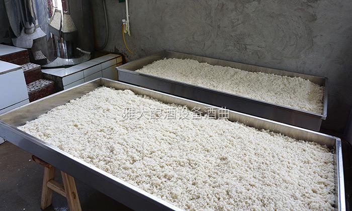 2.3 桂林小伙用1套白酒釀酒設(shè)備幾百斤大米起步開(kāi)酒坊！3