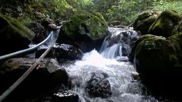 用白酒釀酒設備釀酒過程中加水屬于造假嗎？ 5