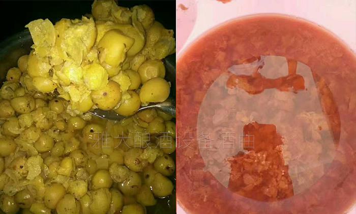 弄1套小型釀酒設(shè)備200型，回家用青梅煮酒（附青梅釀酒技術(shù)） 7