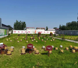 開啟“種酒”全新白酒營銷模式，打造小型酒廠釀酒設(shè)備特色純糧窖藏酒坊！