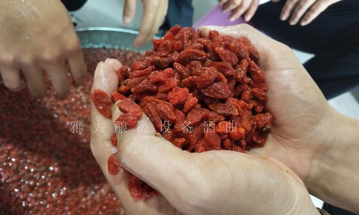 枸杞泡酒你見過(guò)，那枸杞發(fā)酵酒你見過(guò)嗎？ 3