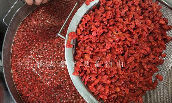 枸杞泡酒你見過(guò)，那枸杞發(fā)酵酒你見過(guò)嗎？ 5
