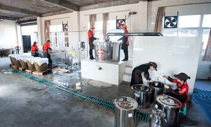 每天忙著發(fā)酵、蒸酒3