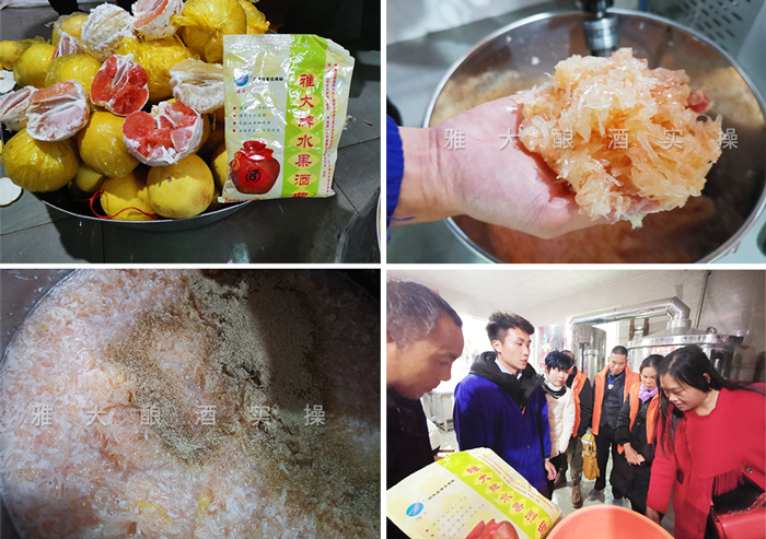 柚子酒實操教學(xué)3