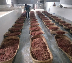 引進(jìn)大型釀酒設(shè)備，用“釀”奏響脫貧致富的時代樂章