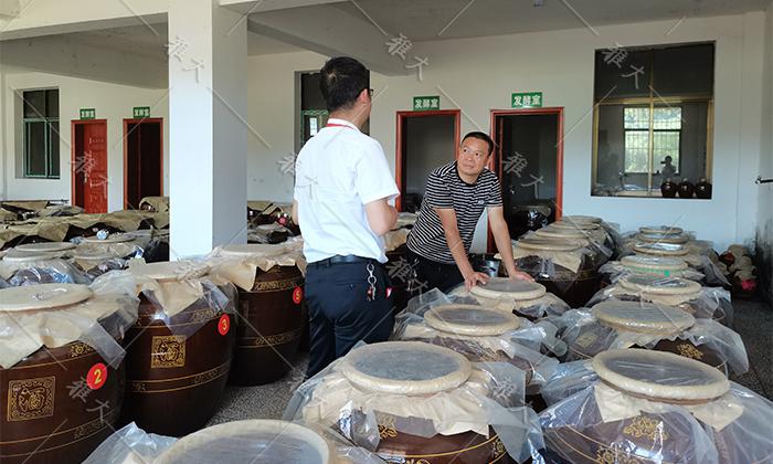 他引起白酒釀造設備，返鄉(xiāng)當起釀酒師，致富路上酒香四溢 1