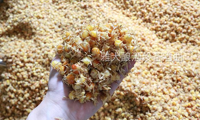 增香靠技術，除雜靠管理，怎樣才能釀出好喝的小曲固態(tài)酒？ 4