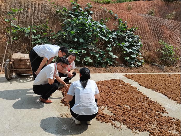 辭職返鄉(xiāng)建酒莊，年銷(xiāo)售額突破100萬(wàn) 5