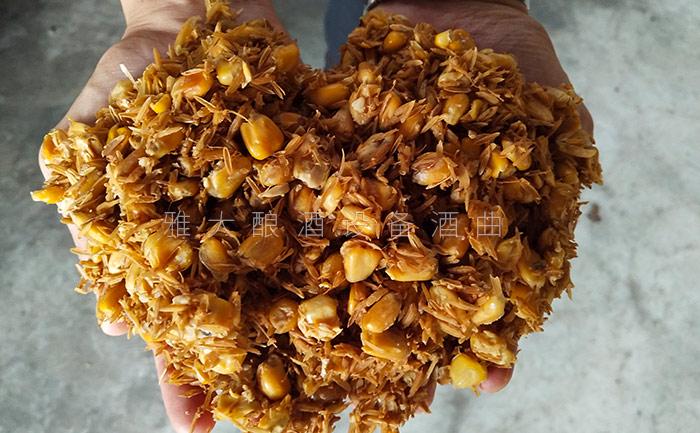 8.28玉米發(fā)酵完成后，玉米粒中無淀粉