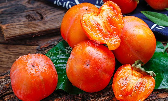 9步教您用果酒釀酒設備做出美味柿子酒，送給柿農的福利1