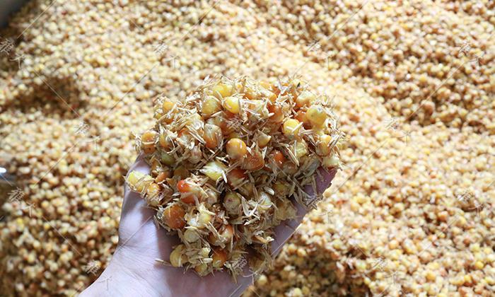 制酒設(shè)備蒸好的玉米糖化24小時(shí)，為什么還有點(diǎn)發(fā)干 酒液少 (1)