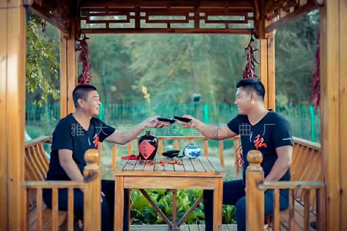 喝多了第二天依舊精神抖擻，稱之為好酒