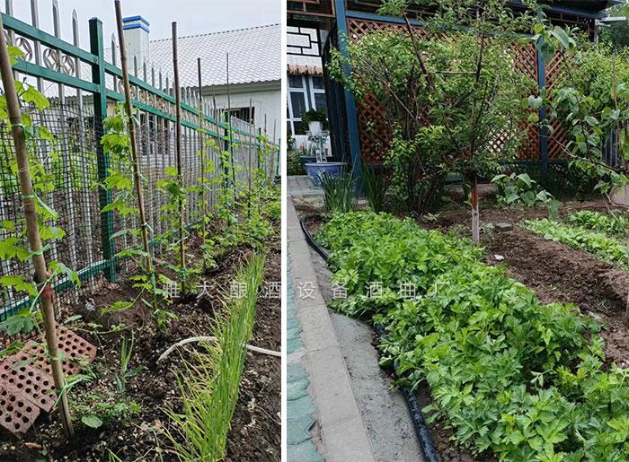 工程師變身&ldquo;農(nóng)莊主&rdquo;，又引進(jìn)白酒烤酒設(shè)備，為農(nóng)莊增添新特色7