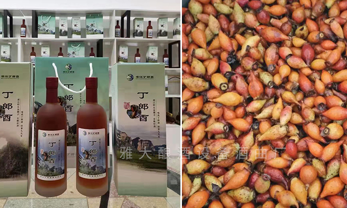 雅大客戶(hù)做的金櫻子酒