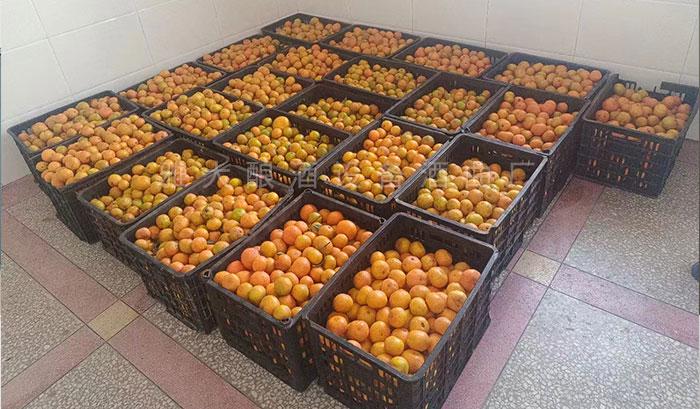 除當(dāng)?shù)厝撕鹊母叨染仆猓€多元化經(jīng)營(yíng)水果酒