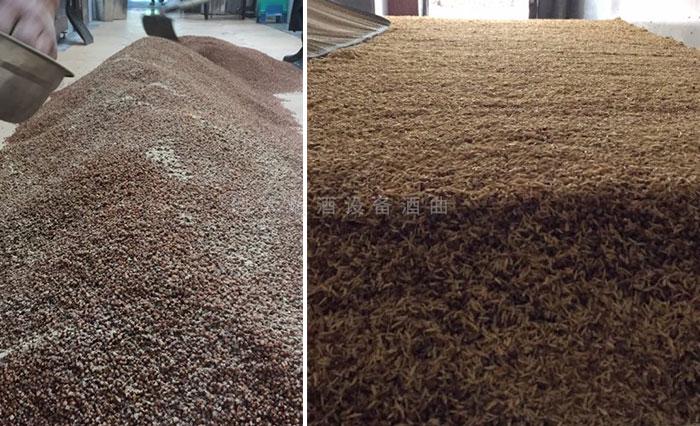 隆林酒坊對外開放，顧客隨時參觀酒廠