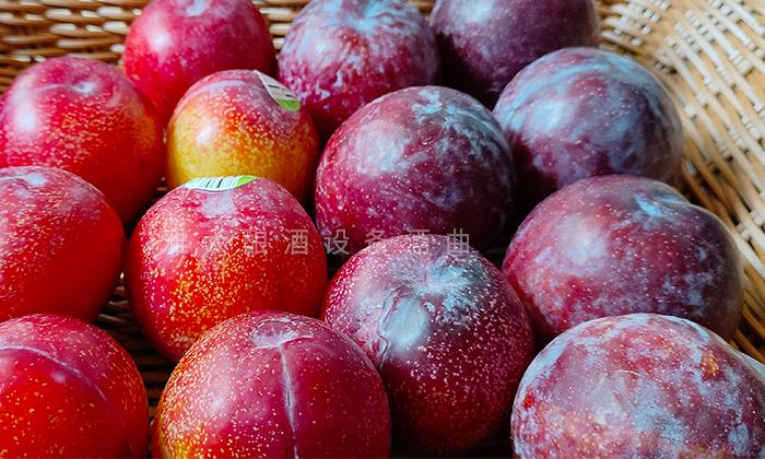 表皮自帶酵母數(shù)量不夠，發(fā)酵力弱