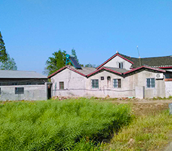 地質(zhì)大學(xué)教授退休后，在效區(qū)開了家窖藏酒坊