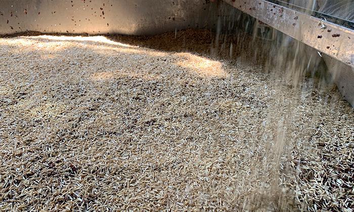 糖化時(shí)加稻殼