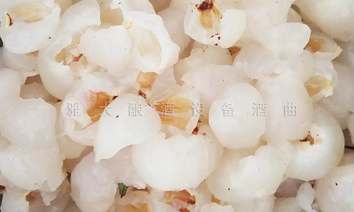 用果酒釀酒設備將荔枝釀成酒，提升果農(nóng)利潤和市場競爭力 4