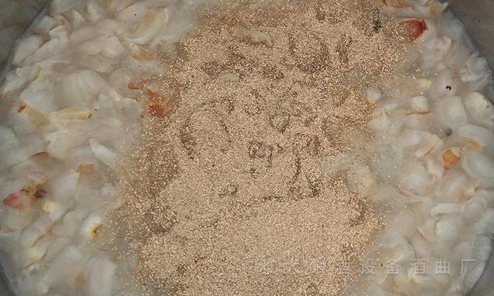 用果酒釀酒設備將荔枝釀成酒，提升果農(nóng)利潤和市場競爭力 5