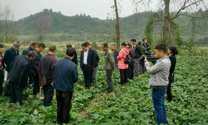 從田間到杯中，用蒸汽釀酒設備釀造美味葛根酒！ 2