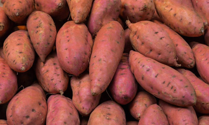 寧遠土茅臺&mdash;&mdash;紅薯酒是怎樣釀造出來的？ 2