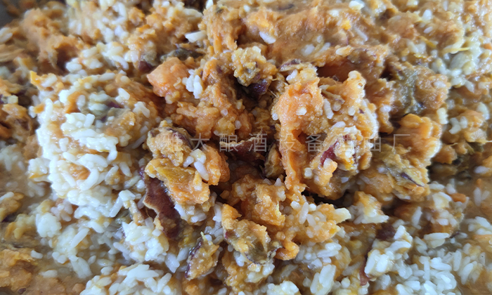 寧遠土茅臺&mdash;&mdash;紅薯酒是怎樣釀造出來的？ 5