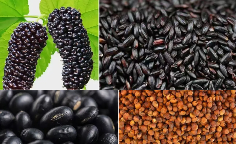 酒坊同質(zhì)化嚴(yán)重，生意差，讓&ldquo;健康白酒&rdquo;為您的酒坊發(fā)展加速 5