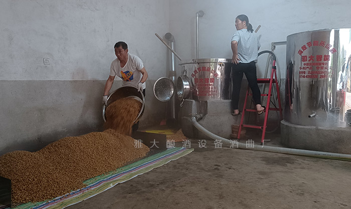 2025蛇年春節(jié)，是繼續(xù)打工還是釀酒創(chuàng)業(yè)自己當(dāng)老板？ 3