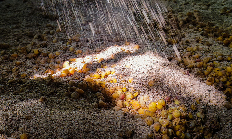 解密清香白酒的&ldquo;黃金搭檔 4