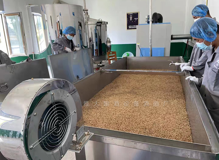 酒酸了別怪天氣！90%的春季酸敗，都是這5個衛(wèi)生漏洞惹的禍 5