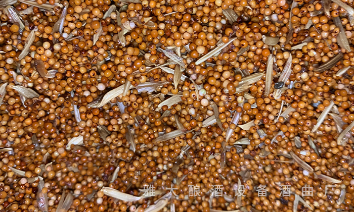 白酒苦味調(diào)控與風(fēng)味平衡，來自老師傅的釀酒經(jīng)驗分享 5