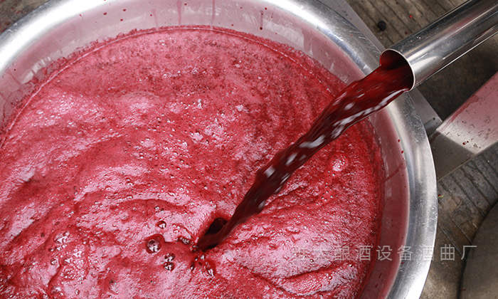 桑葚&ldquo;次果&rdquo;變黃金！低成本釀熱銷果酒，增收秘訣看這里！ 4