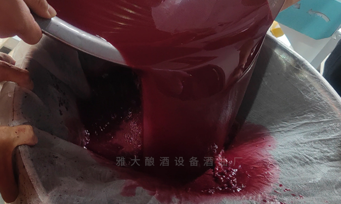 桑葚&ldquo;次果&rdquo;變黃金！低成本釀熱銷果酒，增收秘訣看這里！ 7