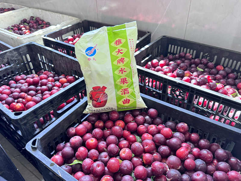 夏季水果大豐收！便宜水果釀成酒，好喝又好賣，趕緊抓住商機(jī)！ 10