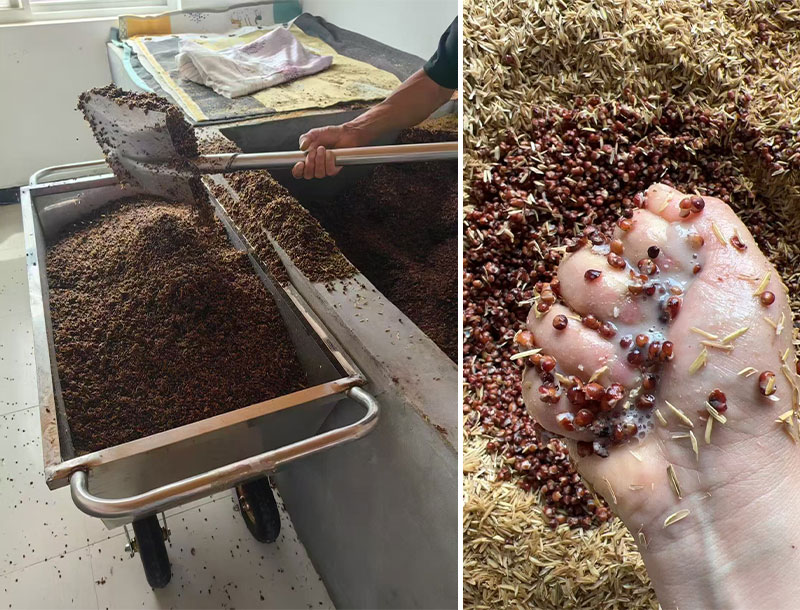 為讓客人喝上放心酒，他在度假村里建酒坊！結(jié)果回頭客暴增，還開辟新財路 4