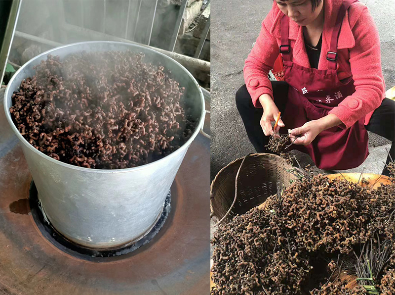 拐棗釀酒設(shè)備 2