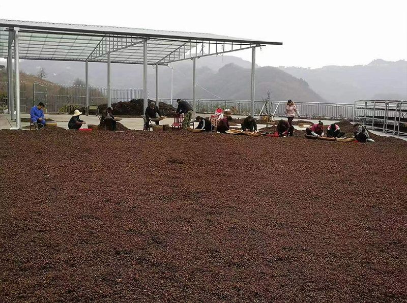 拐棗釀酒設(shè)備 1