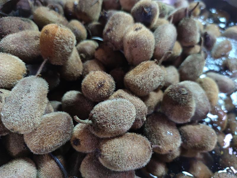 釀獼猴桃酒的季節(jié)到了，純技術(shù)分享趕緊收藏！ 2