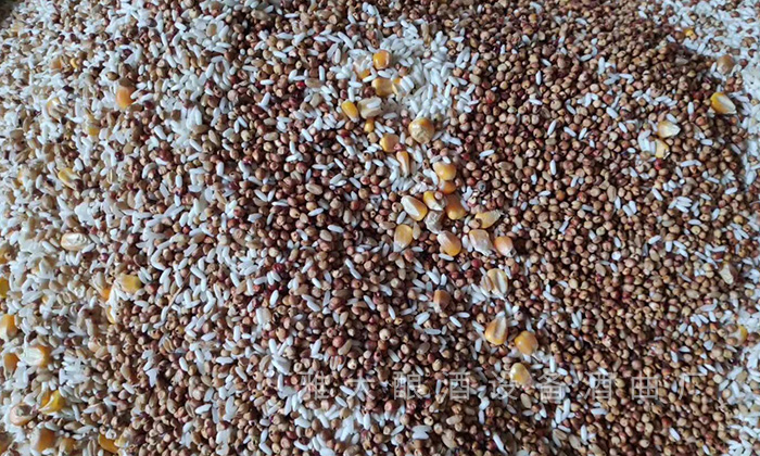 五糧酒釀造技術(shù)分享，整粒發(fā)酵 vs 粉碎發(fā)酵哪種工藝更好？ 1