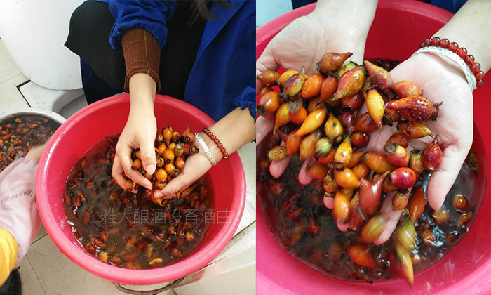 退役軍人返鄉(xiāng)釀酒，他用一壇&ldquo;丁郎酒&rdquo;釀出家鄉(xiāng)致富路！ 6