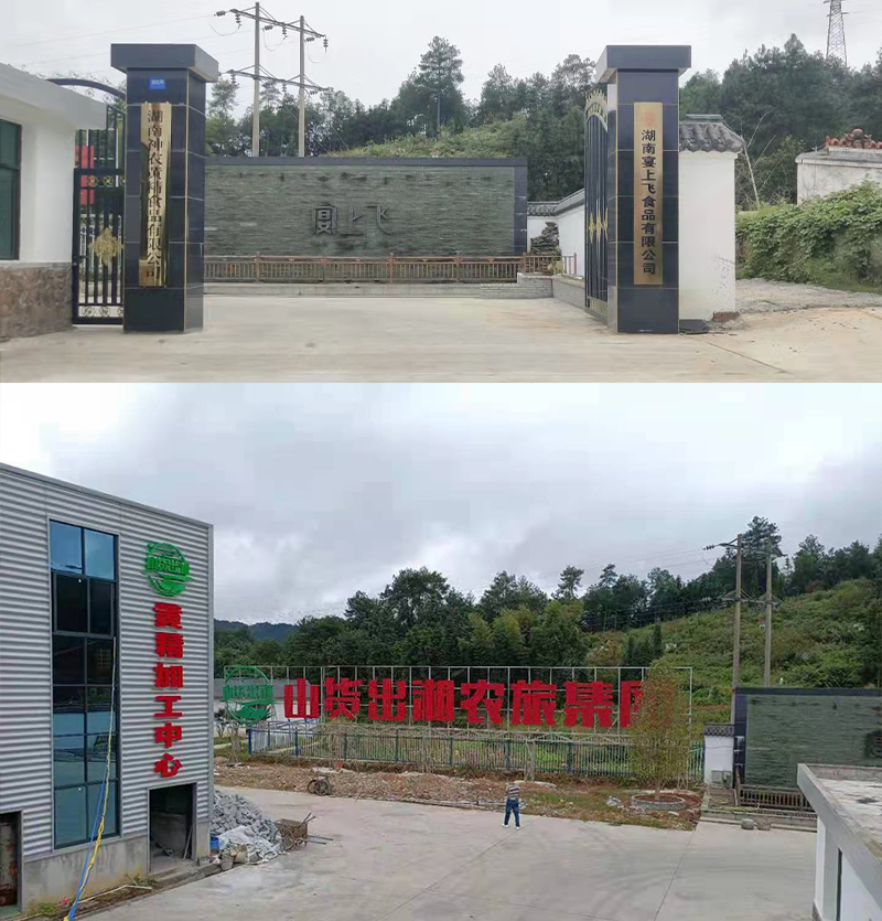 &ldquo;黃金&rdquo;出深山&mdash;&mdash;安化黃精酒產(chǎn)業(yè)發(fā)展鋪就鄉(xiāng)村振興之路 7